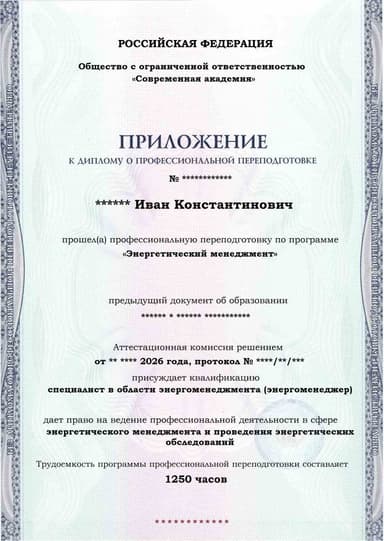 Образец приложения лицевая сторона (итоговое тестирование) по программе Энергетический менеджмент