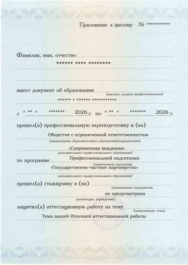 Образец приложения лицевая сторона (аттестационная работа) по программе Государственно-частное партнерство