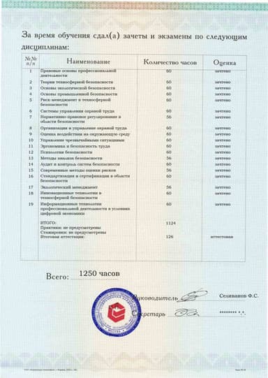 Образец приложения оборотная сторона (аттестационная работа) по программе Техносферная безопасность