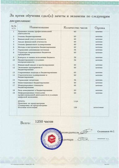 Образец приложения оборотная сторона (аттестационная работа) по программе Бюджетирование